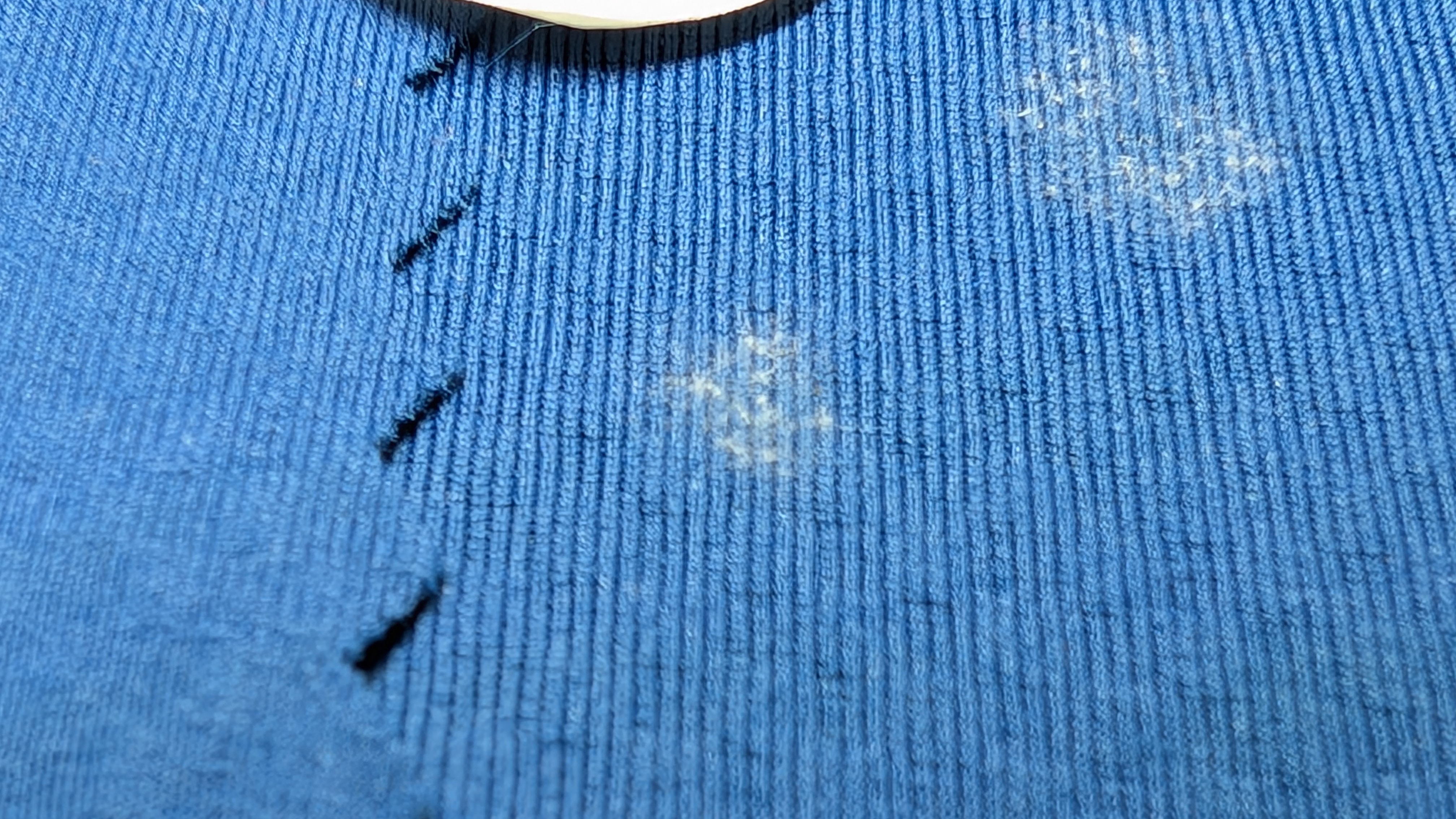 Mold close-up