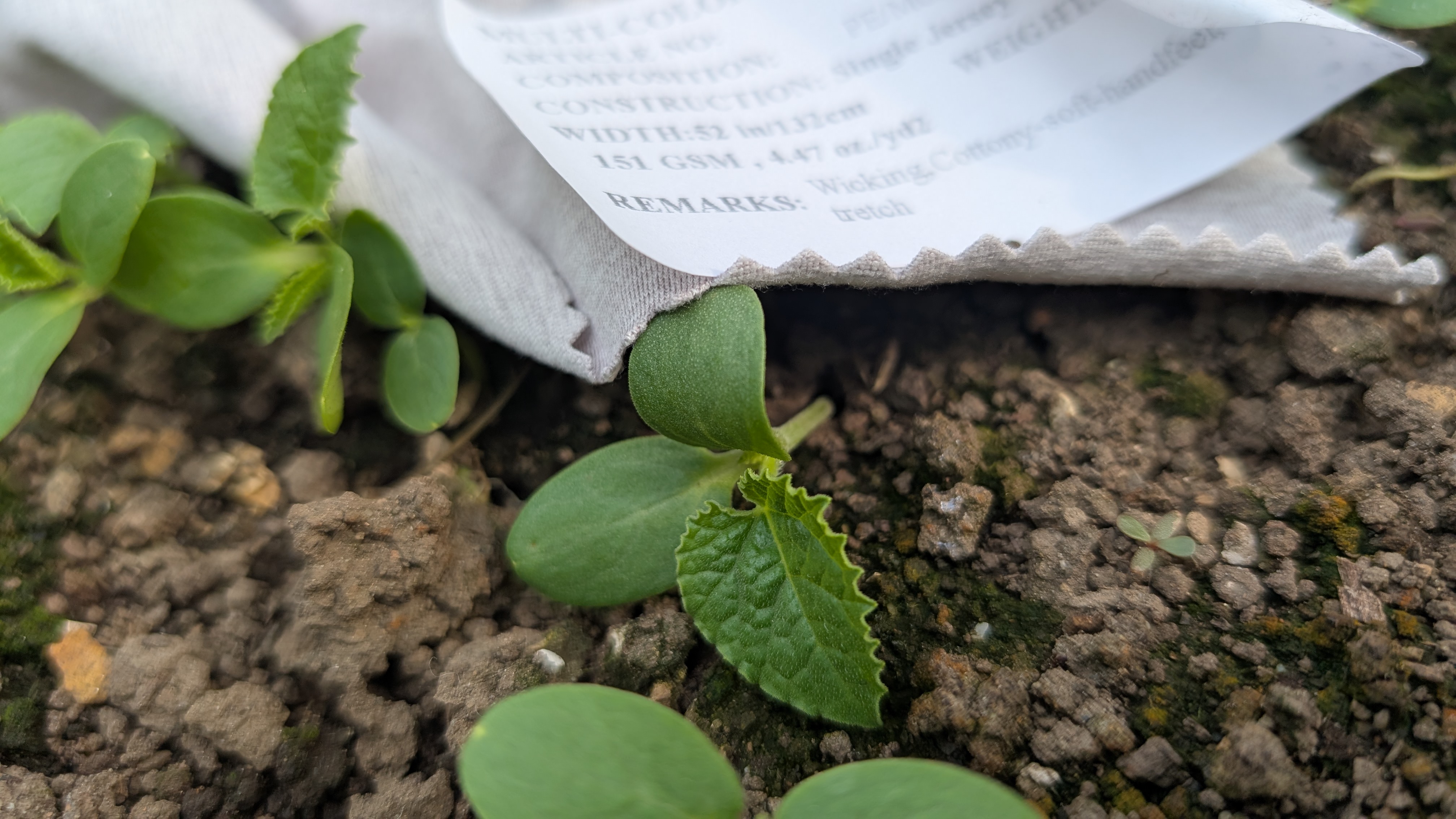 Multi-Colory fabric label in soil — returning to nature