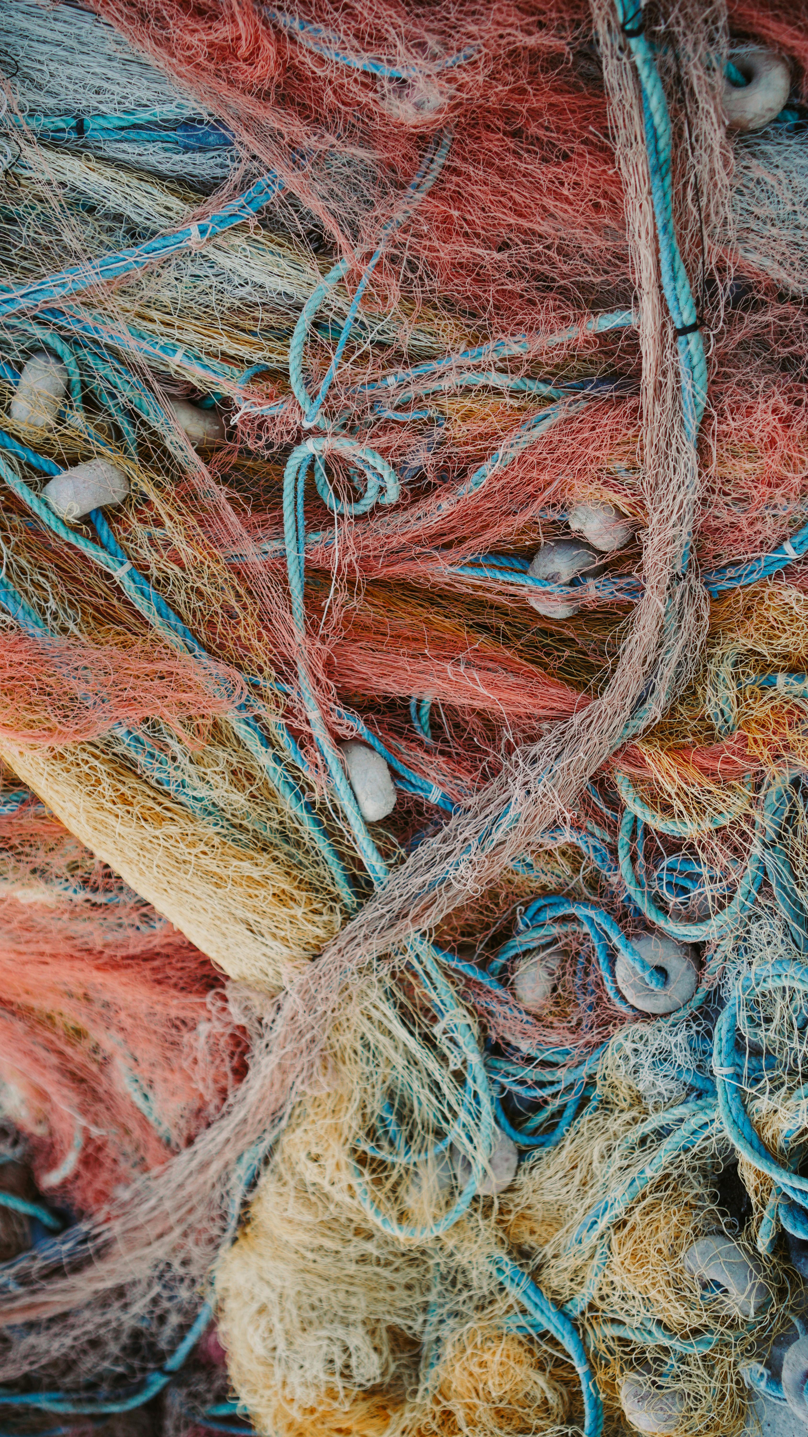 Discarded fishing nets